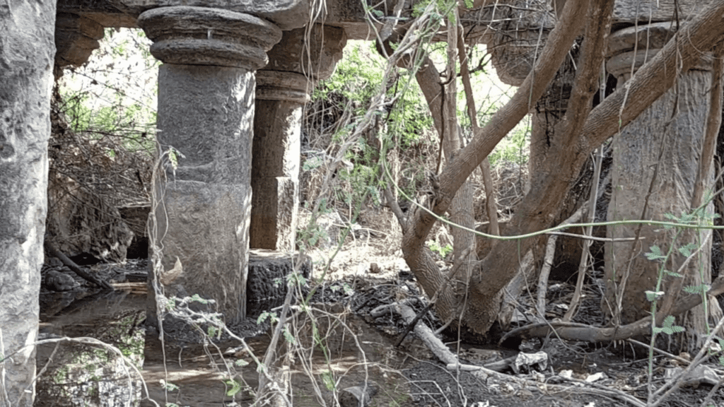 Remains of the palace of Seth Jagadusha Bhadreshwar, Kutch 